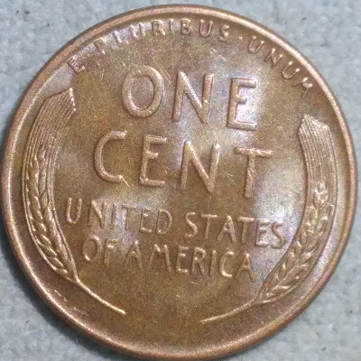 My-1955-S-Wheat-Penny-Needs-A-Grade-What-Yall-Thank